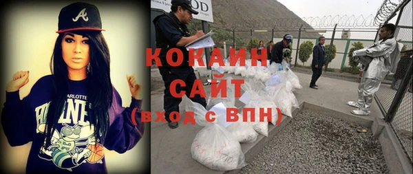 сатива Кинешма