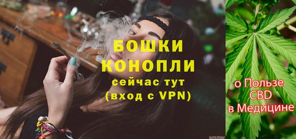 сатива Кинешма